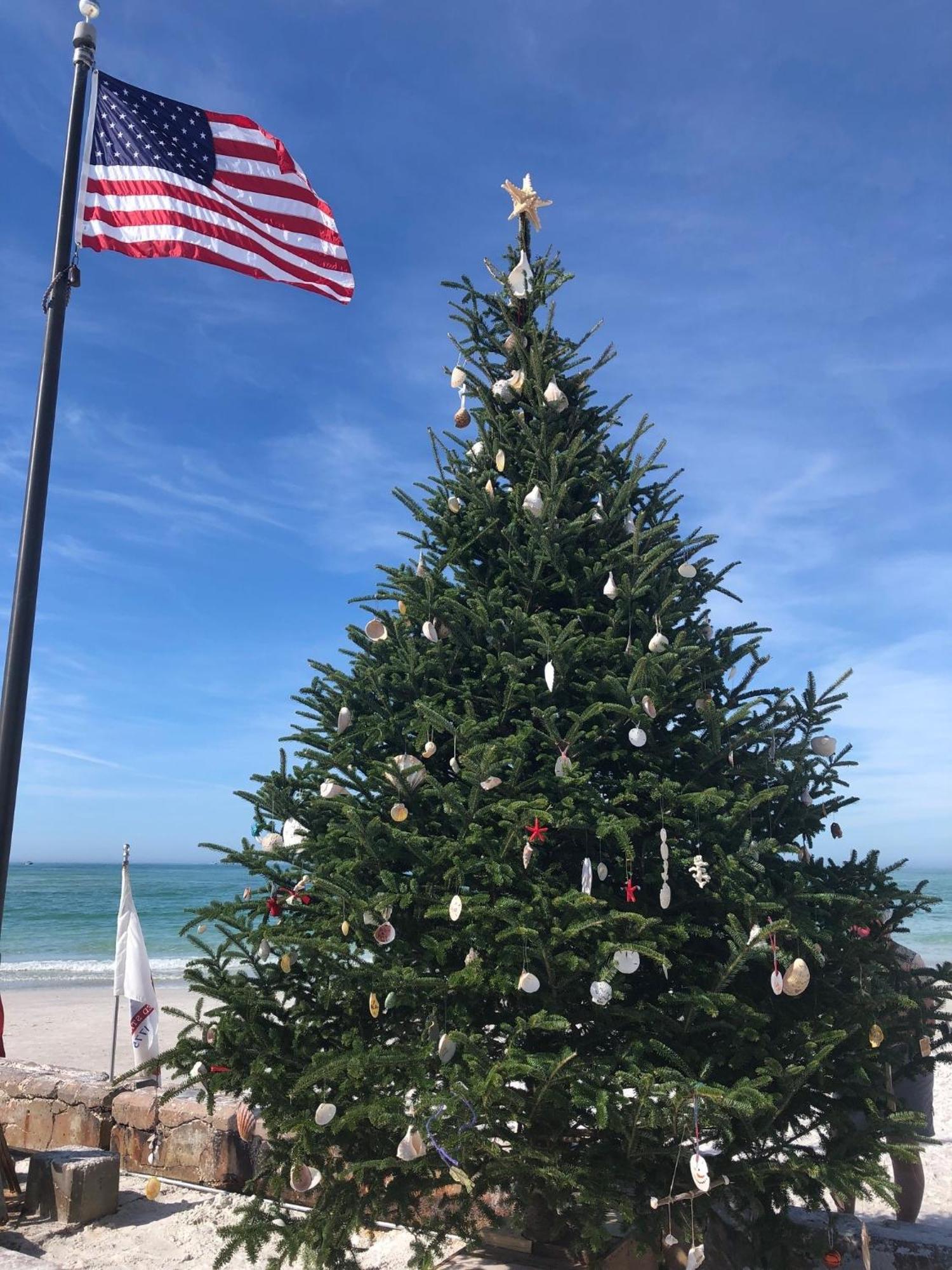 Sarasota -Walk To Siesta Key Beach المظهر الخارجي الصورة